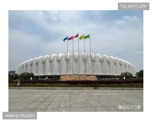 细数王译在绿茵场上奋进拼搏的非凡而璀璨足球生涯全景纪录篇章展